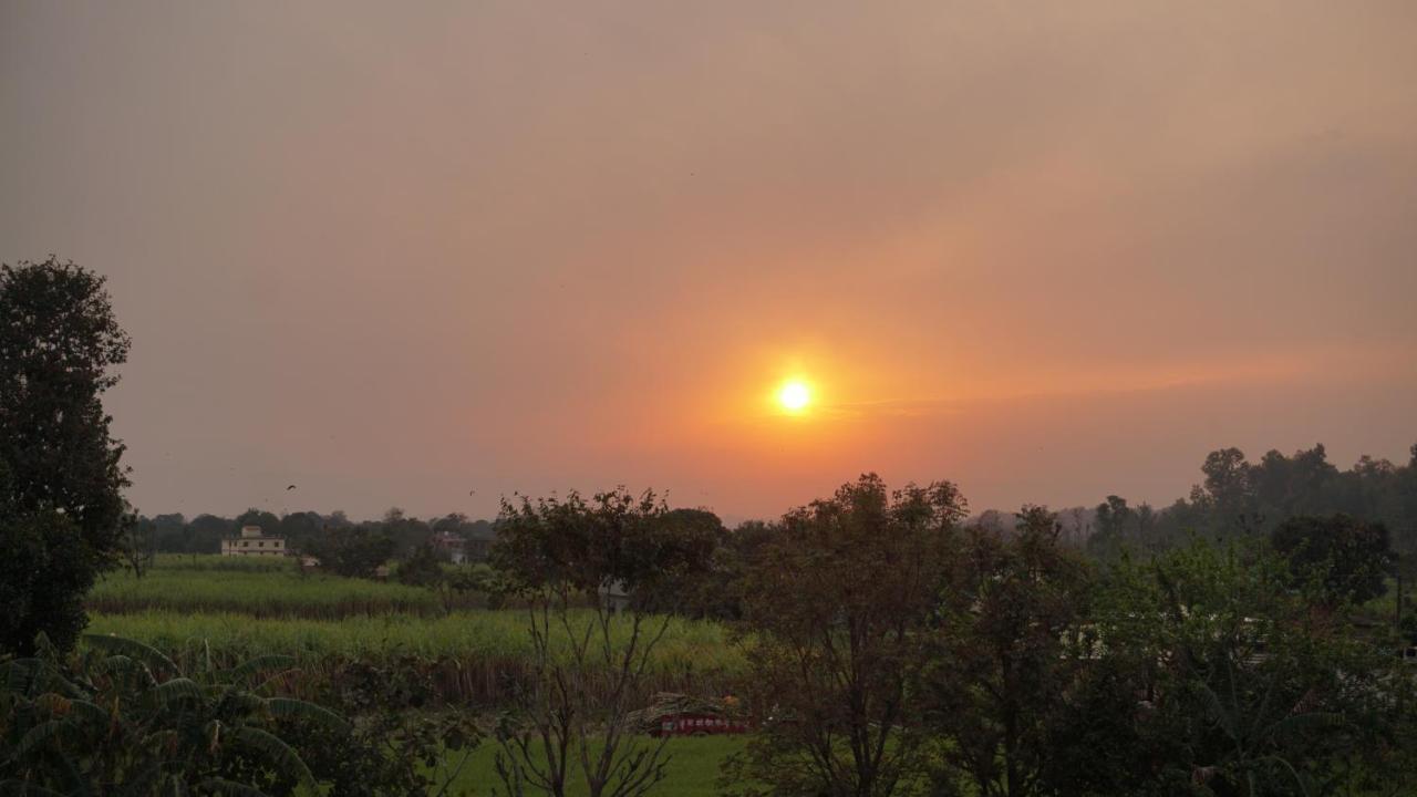 Sun N Soil Backpacker Hostel Lachhiwala 外观 照片