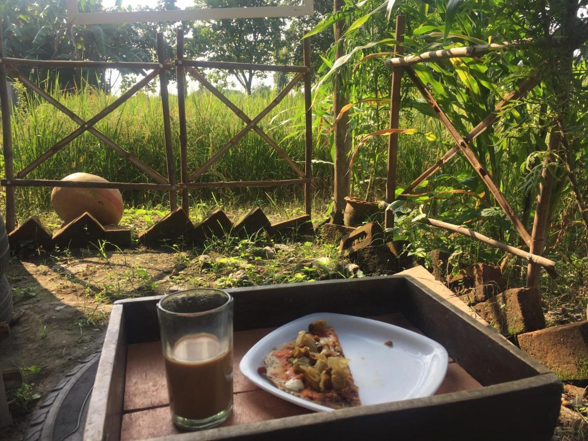 Sun N Soil Backpacker Hostel Lachhiwala 外观 照片